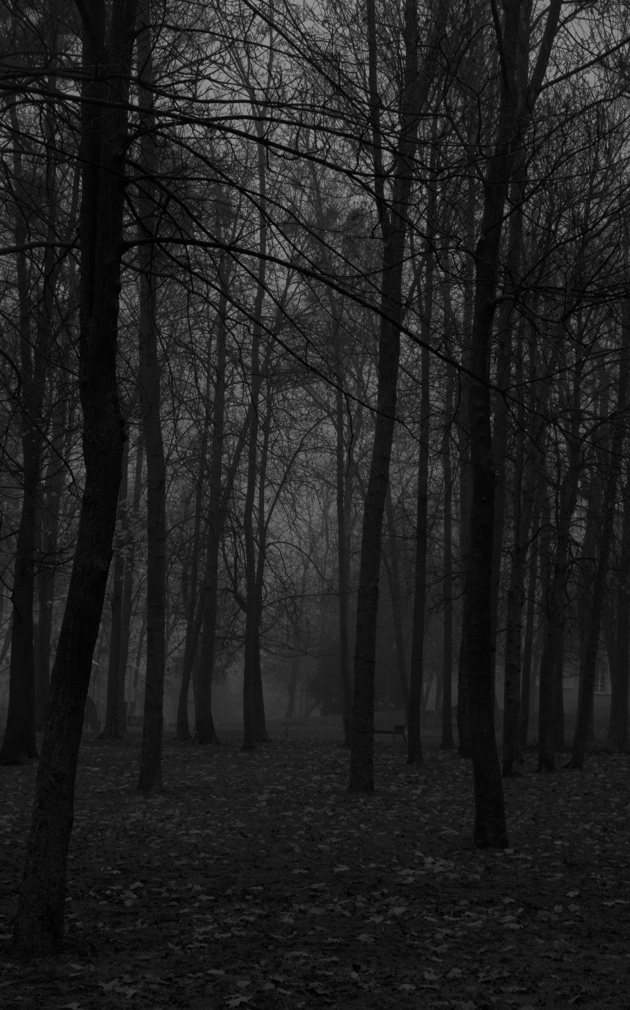 Dark Park