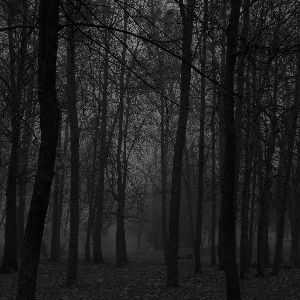 Dark Park